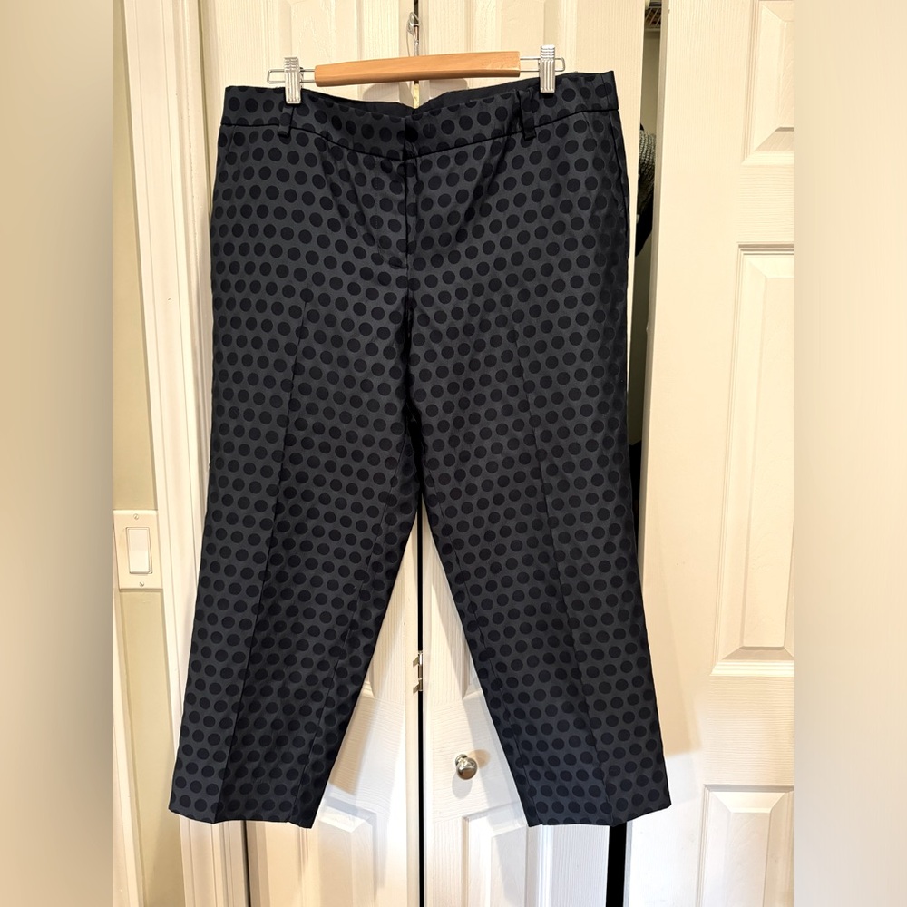 J. Crew Skimmer pants